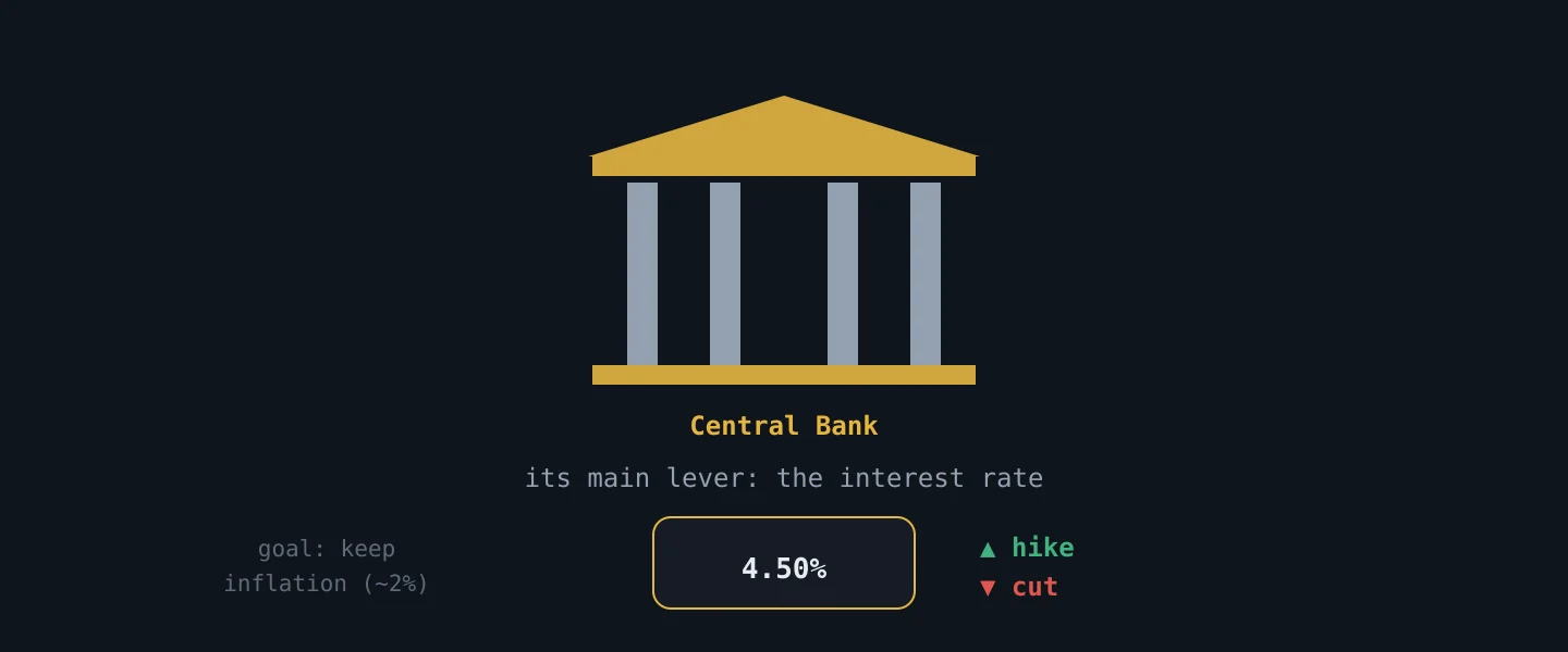 The central bank and its main lever, the interest rate